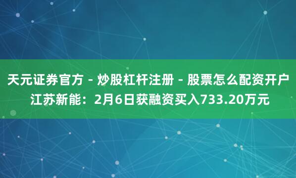 天元证券官方 - 炒股杠杆注册 - 股票怎么配资开户 江苏新能：2月6日获融资买入733.20万元